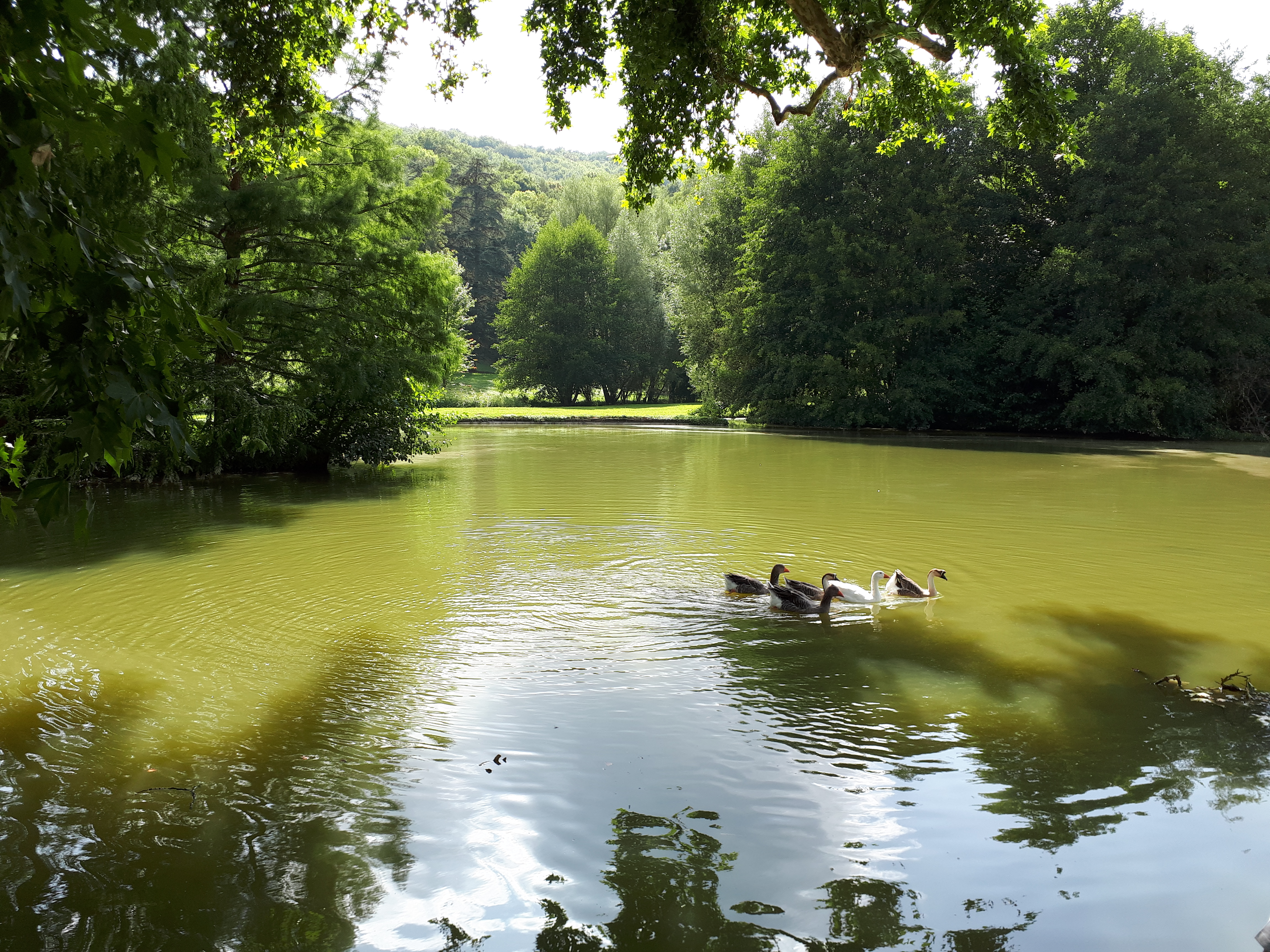 Photo n° 1 de l'avis de A.. fait le 08/08/2018 à 14:58