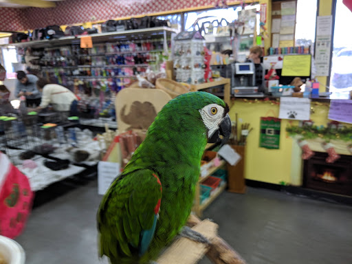 Pet Supply Store «Our Pet World», reviews and photos, 380 Semoran Commerce Pl, Apopka, FL 32703, USA