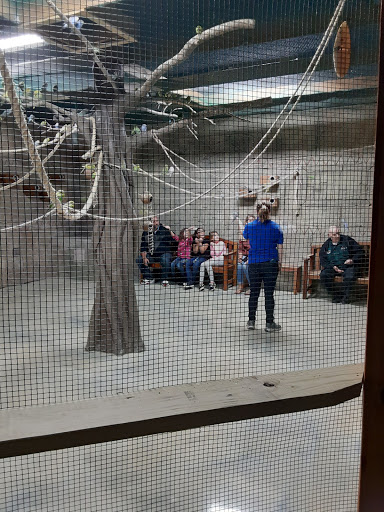 Movie Theater «Regal Cinemas River Ridge 14», reviews and photos, 3411 Candlers Mountain Rd, Lynchburg, VA 24502, USA