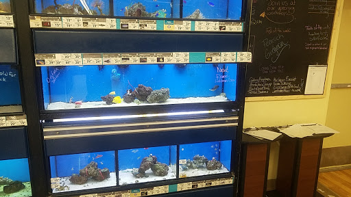 Pet Supply Store «Petco Animal Supplies», reviews and photos, 4175 Dowlen Rd, Beaumont, TX 77706, USA