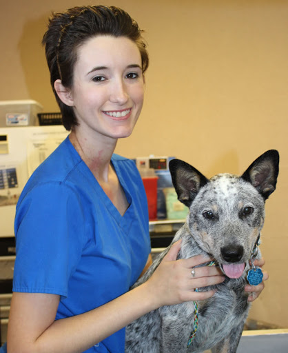 Audubon Animal Hospital image
