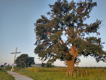 Kreuz