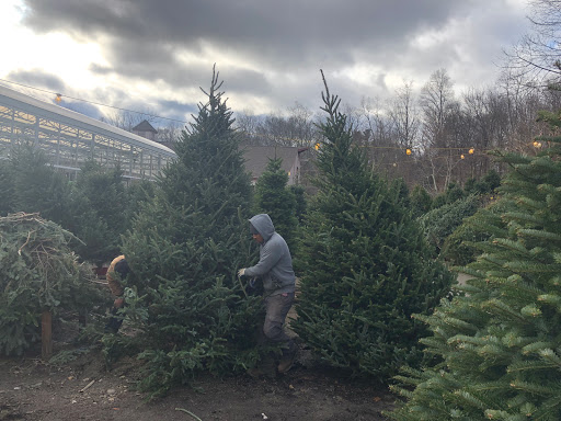 Garden Center «Copia Home and Garden», reviews and photos, 475 Smith Ridge Rd, South Salem, NY 10590, USA