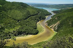 Parco Fluviale del Tevere image