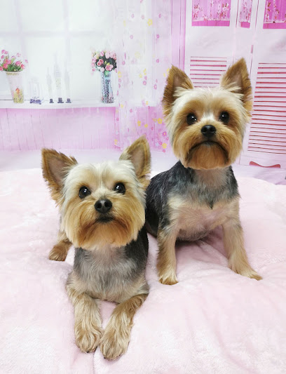 Dazzling Paws Dog Grooming
