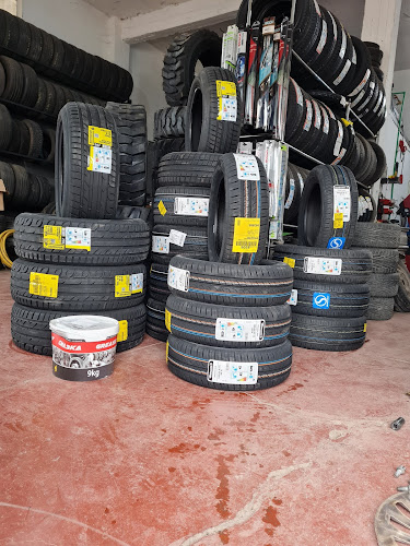 ΕΛΑΣΤΙΚΑ ΜΑΝΟΥΣΗΣ ΙΩΑΝΝΗΣ - Πασαρώνα