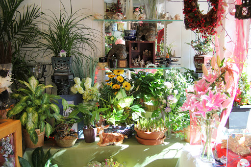 Florist «Dave Eng Flowers», reviews and photos, 136 1/2 Derby St, Salem, MA 01970, USA