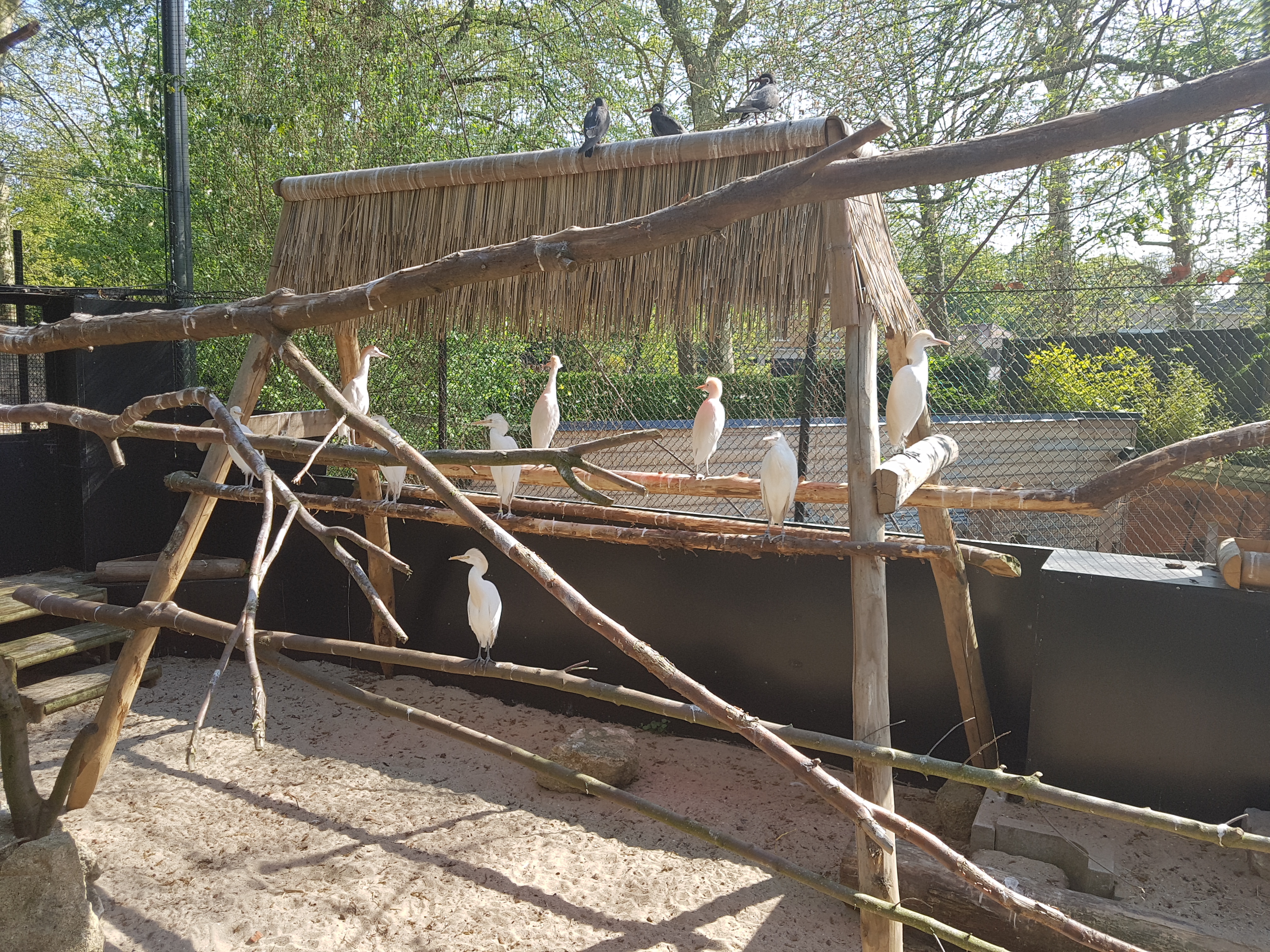 Photo n° 6 de l'avis de Celia.a fait le 30/04/2019 à 08:20