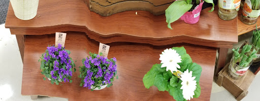 Grocery Store «King Soopers», reviews and photos, 995 S Hover Rd, Longmont, CO 80501, USA