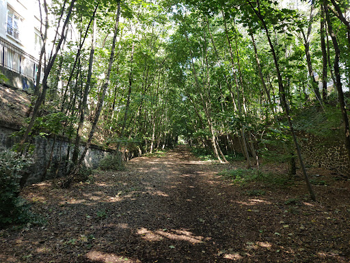 Nature Trail (Path of the old Petite Ceinture Railway)