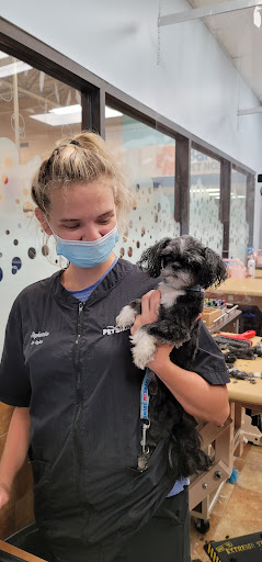 Pet Supply Store «PetSmart», reviews and photos, 1900 W International Speedway Blvd, Daytona Beach, FL 32114, USA