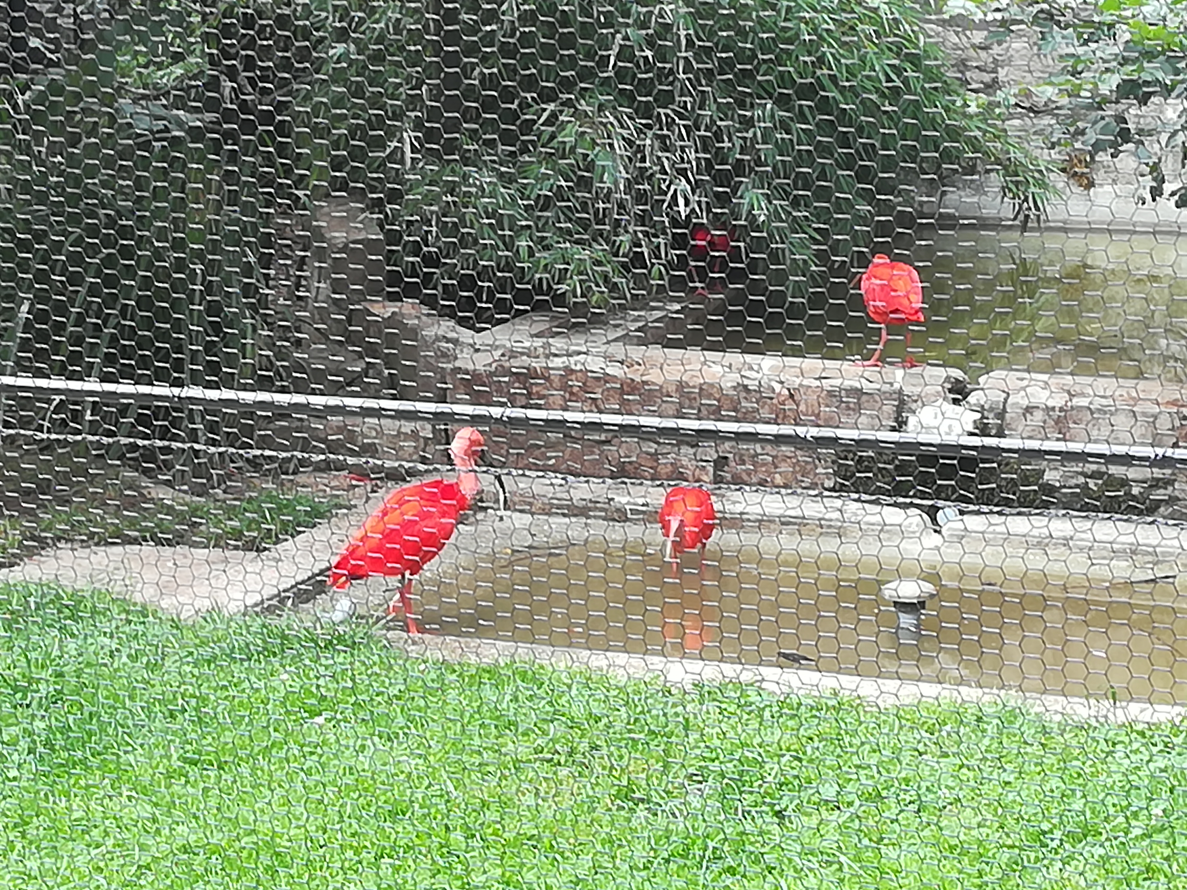 Photo n° 20 de l'avis de Christophe.A fait le 26/07/2020 à 19:03