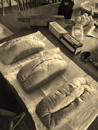 Tourist Attraction «Amish Heritage Farm», reviews and photos, 1016 Brewer Rd, Ethridge, TN 38456, USA