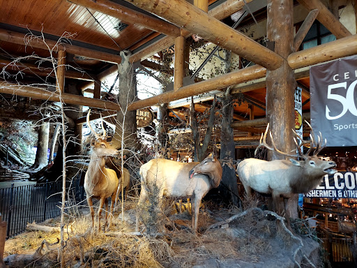 Sporting Goods Store «Bass Pro Shops», reviews and photos, 1935 S Campbell Ave, Springfield, MO 65807, USA