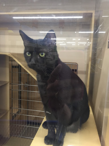 Pet Supply Store «Petco Animal Supplies», reviews and photos, 300 Hylan Dr, Rochester, NY 14623, USA