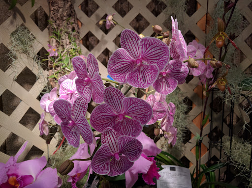 Museum «Tyler Rose Museum & Gift Shop», reviews and photos, 420 Rose Park Dr, Tyler, TX 75702, USA