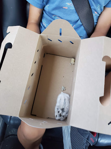 Pet Supply Store «Petco Animal Supplies», reviews and photos, 26501 Bouquet Canyon Rd, Saugus, CA 91350, USA