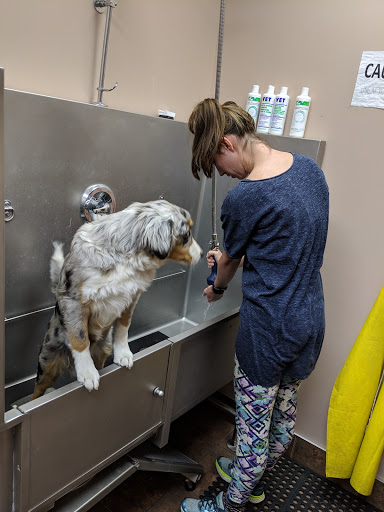 Cambrian Animal Hospital - Alberta