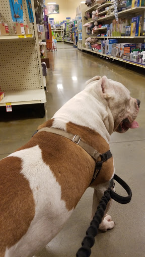 Pet Supply Store «PetSmart», reviews and photos, 2100 88th St, North Bergen, NJ 07047, USA