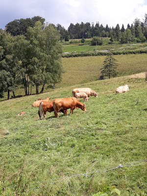 Haut des frêts à Gerbépal
