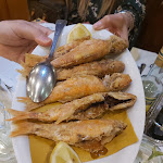 Photo n°9 de l'avis de Grazia.a fait le 21/02/2022 à 16:44 sur le  Ristorante Salvatore La Napoletana à Ganzirri