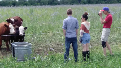 Nature Preserve «Brunner Family Forest Preserve», reviews and photos, 18N681 State Rte 31, Carpentersville, IL 60110, USA