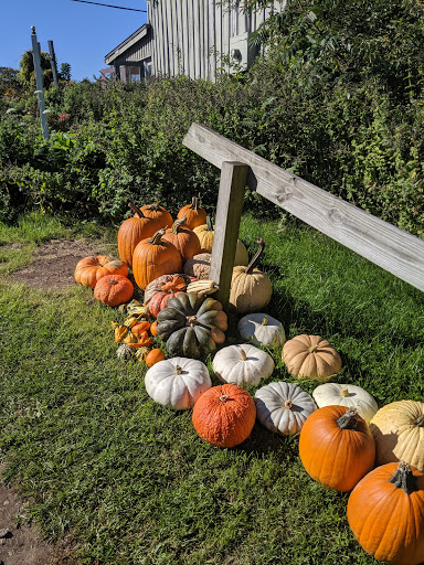 Orchard «Hurd Orchards», reviews and photos, 17260 W Ridge Rd, Holley, NY 14470, USA