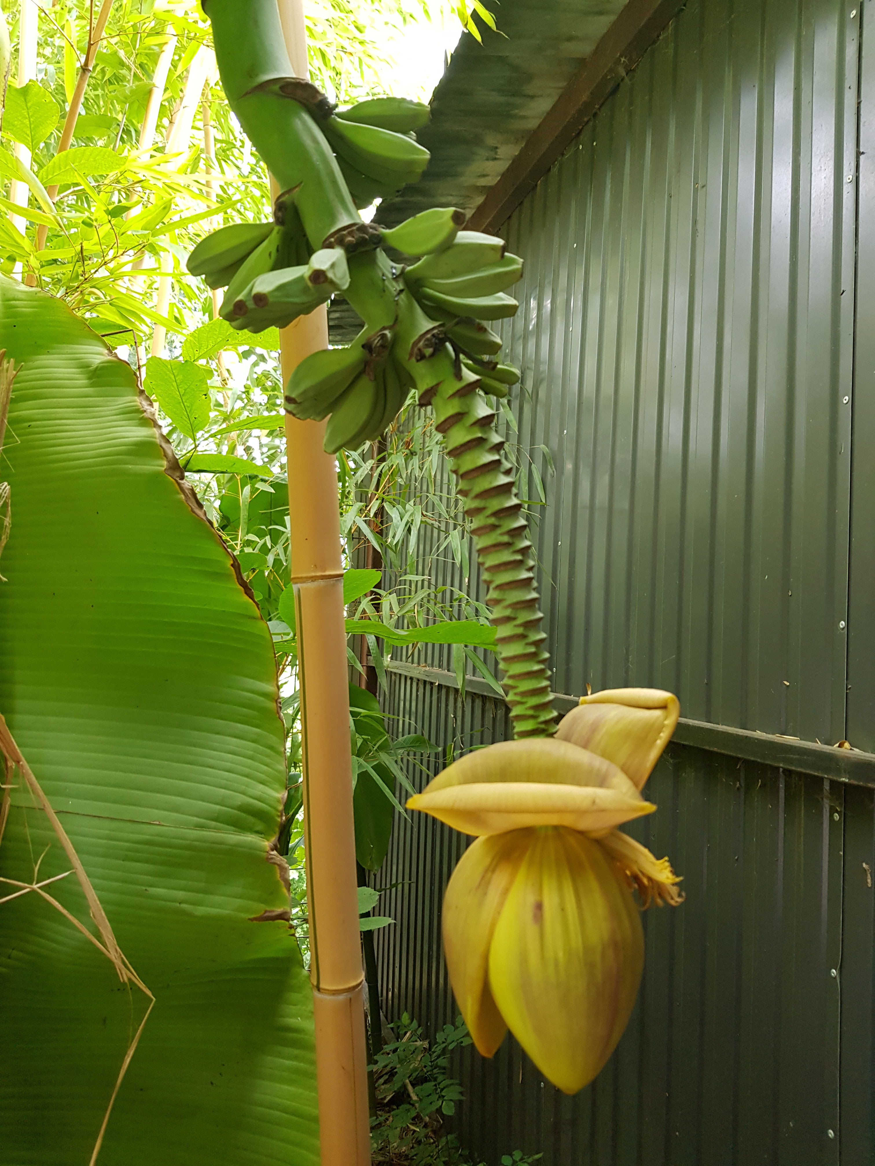 Photo n° 5 de l'avis de King.t fait le 15/09/2021 à 12:05