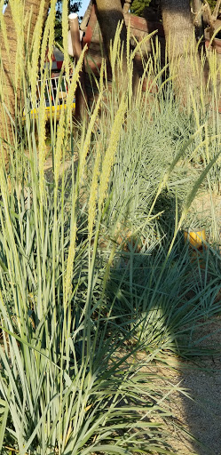 Amusement Park «Canobie Lake Park», reviews and photos, 85 N Policy St, Salem, NH 03079, USA