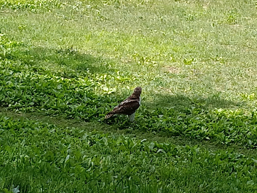 Park «Carney Park», reviews and photos, 386 W Main St, Northborough, MA 01532, USA