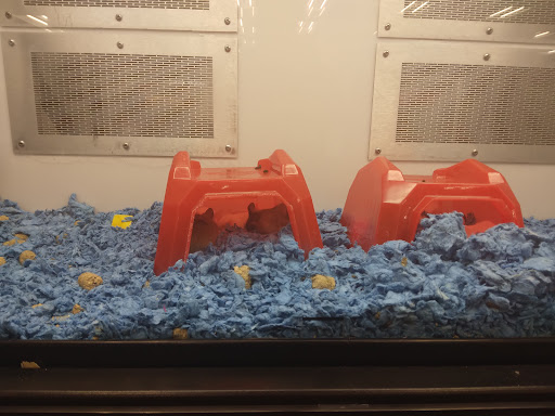 Pet Supply Store «Petco Animal Supplies», reviews and photos, 2000 NE Burnside Rd, Gresham, OR 97030, USA