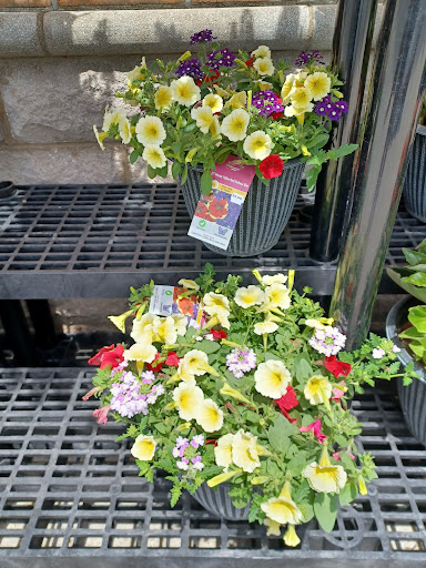 Grocery Store «Kroger», reviews and photos, 801 N Houk Rd, Delaware, OH 43015, USA