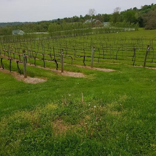 Winery «Rockside Winery and Vineyards», reviews and photos, 2363 Lancaster-Newark Rd NE, Lancaster, OH 43130, USA