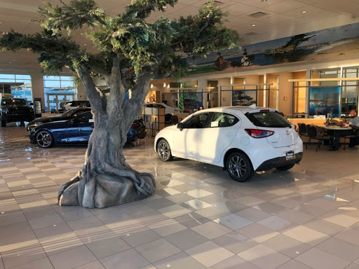 Victory Toyota image