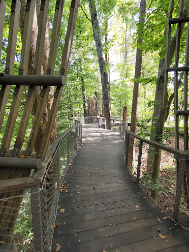 Nature Preserve «Fernbank Forest», reviews and photos, 767 Clifton Rd, Atlanta, GA 30307, USA