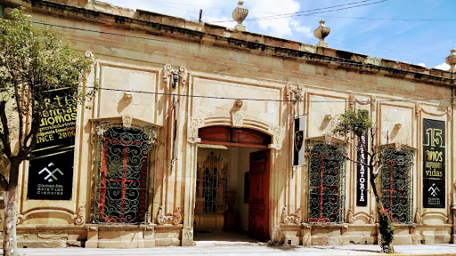 Escuela de tai chi Aguascalientes