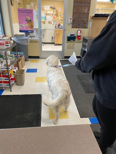 Pet Supply Store «Petco Animal Supplies», reviews and photos, 9 W Avon Rd, Avon, CT 06001, USA