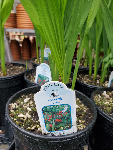 Hardware Store «Woodstock Hardware», reviews and photos, 4430 SE Woodstock Blvd, Portland, OR 97206, USA