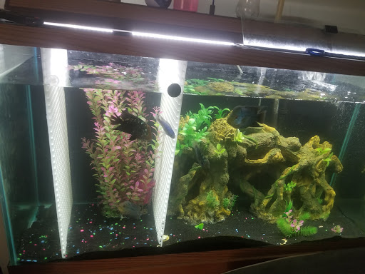 Live Music Venue «Backstage on Broadway», reviews and photos, 3764 Broadway, Gary, IN 46408, USA