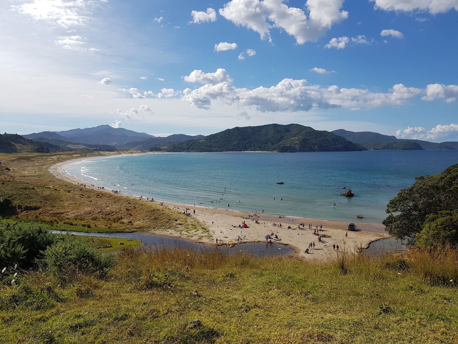 Foto von Waikawau Bay befindet sich in natürlicher umgebung