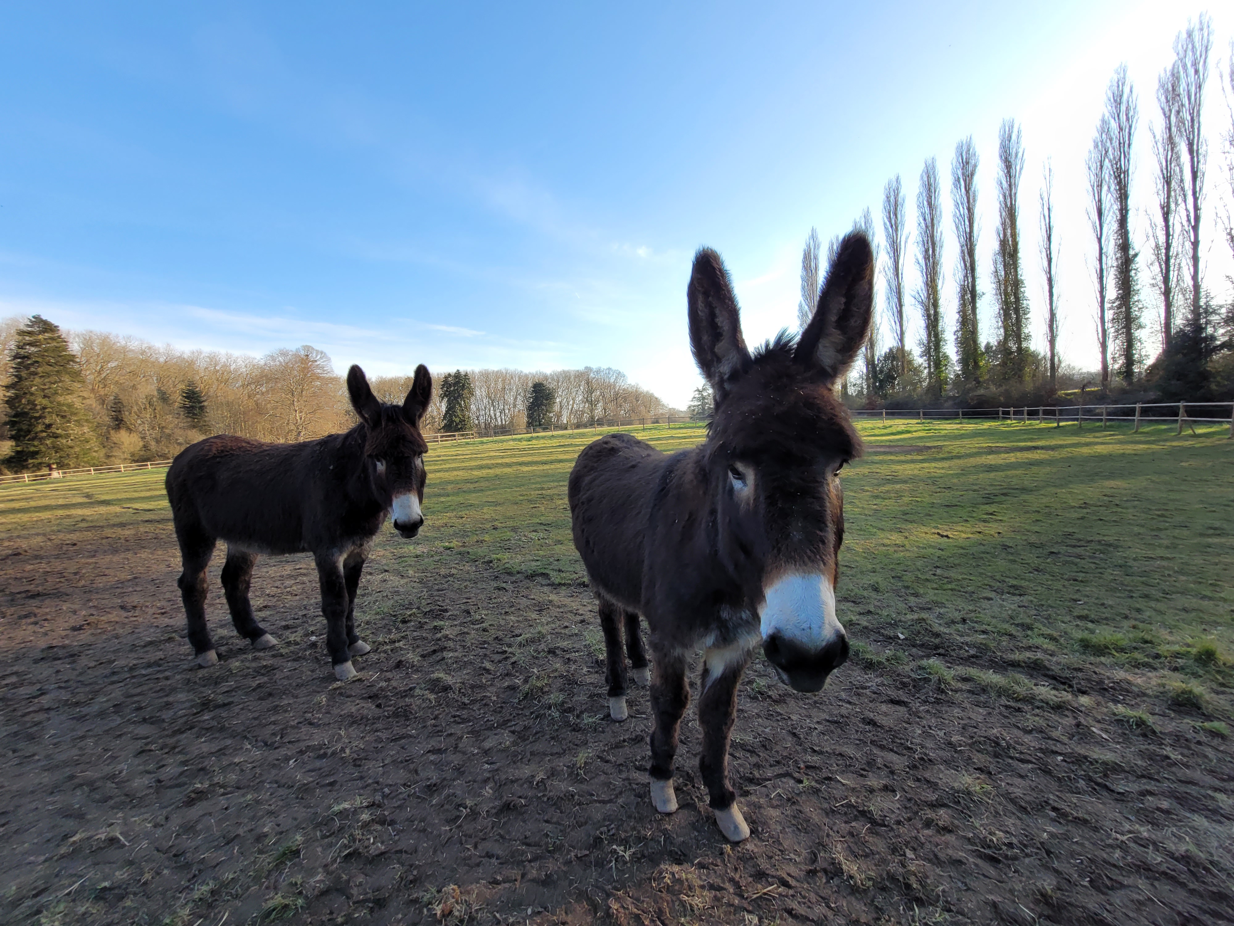 Photo n° 3 de l'avis de Anne.a fait le 15/02/2023 à 17:11