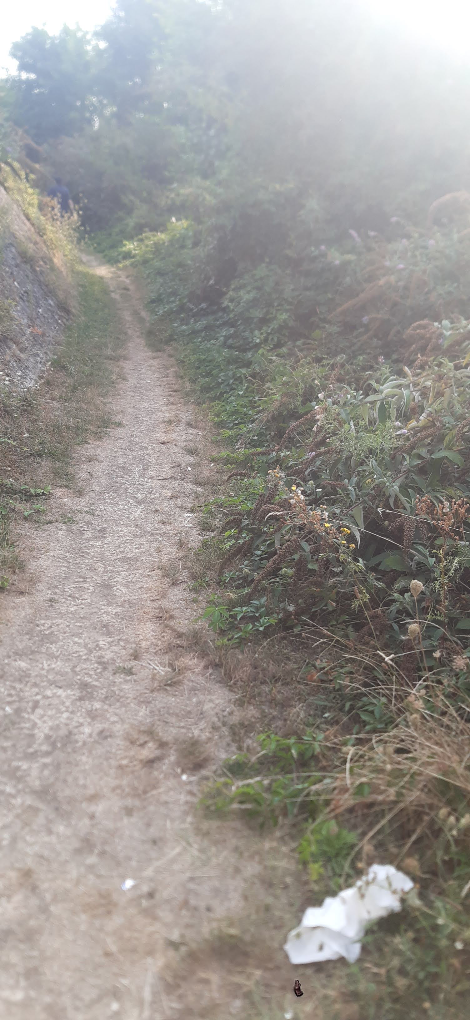 Photo n° 1 de l'avis de Jean-Philippe.O fait le 19/07/2022 à 10:59