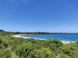Jimbizi Beach'in fotoğrafı çok temiz temizlik seviyesi ile