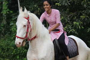 PRANAVAM BAMBOO HUT AND HORSE RIDING | THIRUVALLA image