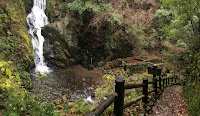 梅の木轟の滝
