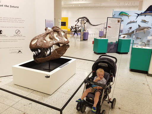 Museum «New Jersey State Museum», reviews and photos, 205 W State St, Trenton, NJ 08608, USA