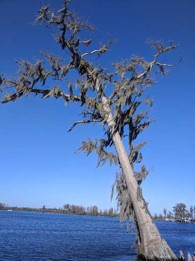 City Park «Palatlakaha Recreation Park», reviews and photos