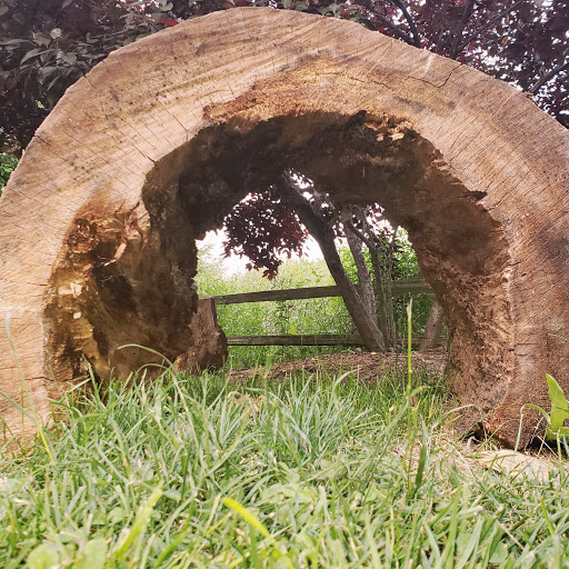 Park «Winnemac Park», reviews and photos, 5100 N Leavitt St, Chicago, IL 60625, USA