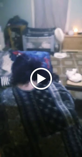 Discount Store «Dollar General», reviews and photos, 906 Broad St, New Castle, IN 47362, USA