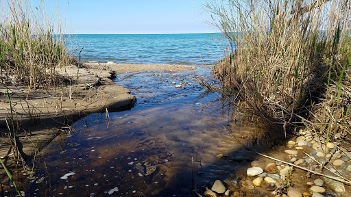 Park «Fort Gratiot County Park», reviews and photos, 3325 Metcalf Rd, Fort Gratiot Twp, MI 48059, USA